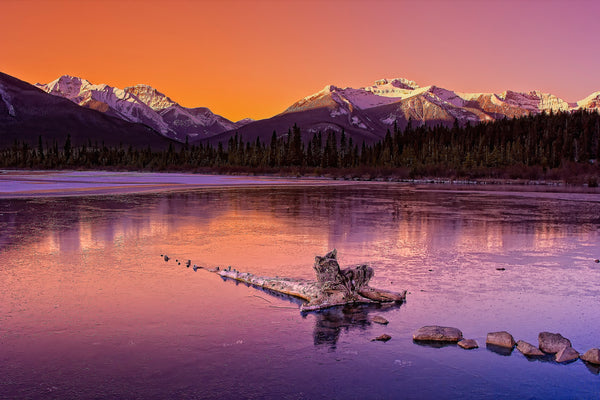 Vermilion Dawn