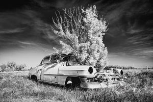 Where Time Took Root