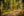 Whispering Rails