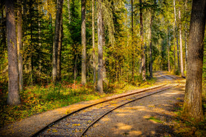 Whispering Rails