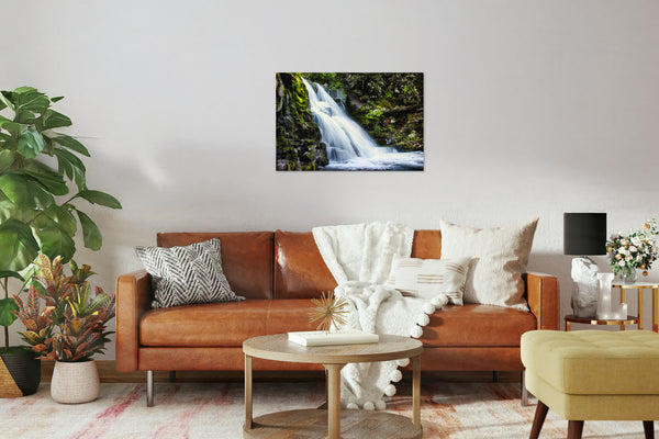 2742765 :: Abrams Falls