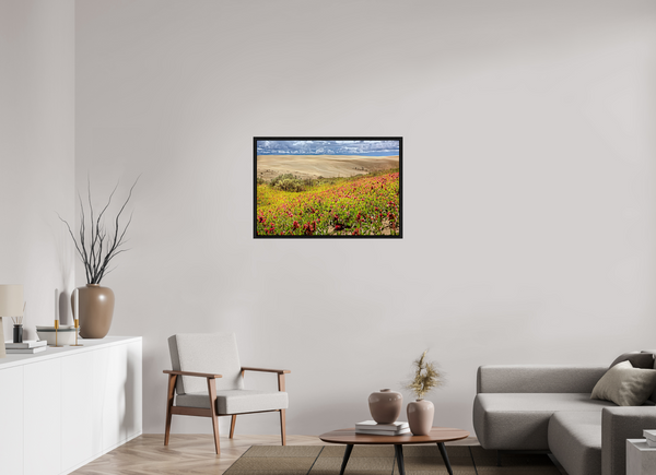 90 x 60 cm, Framed Print Blooming Sands — The Great Sandhills, Saskatchewan
