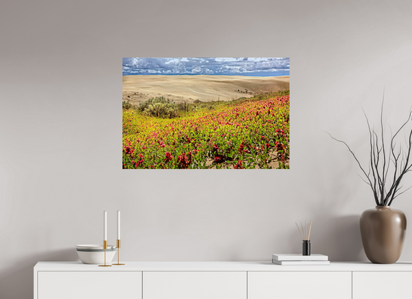 90 x 60 cm, Photo Print Blooming Sands — The Great Sandhills, Saskatchewan