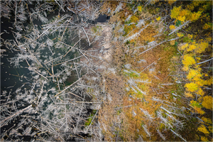 Main image Edge of Renewal – Fallen and Flourishing