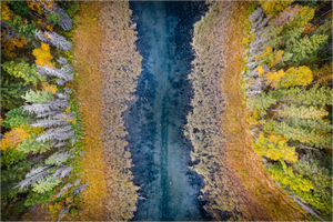 Main image Autumn Veins – The River from Above