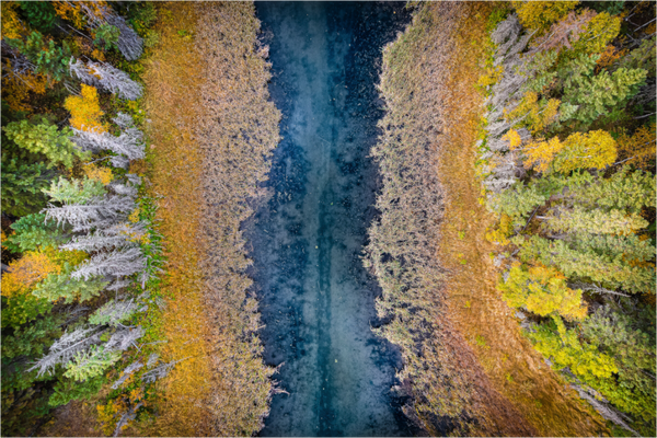 Main image Autumn Veins – The River from Above
