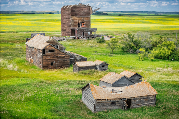 Main image The Fallen Crown of Bents
