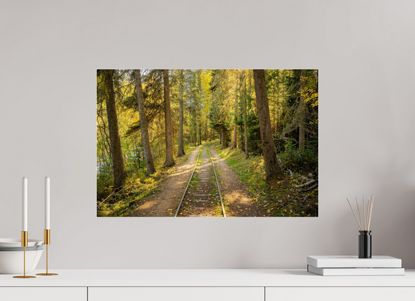 60 x 40 cm, Acrylic Print Tracks Through Time