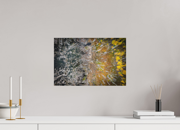 45 x 30 cm, Metal Print Edge of Renewal – Fallen and Flourishing