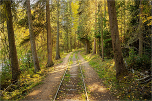 Main image Tracks Through Time