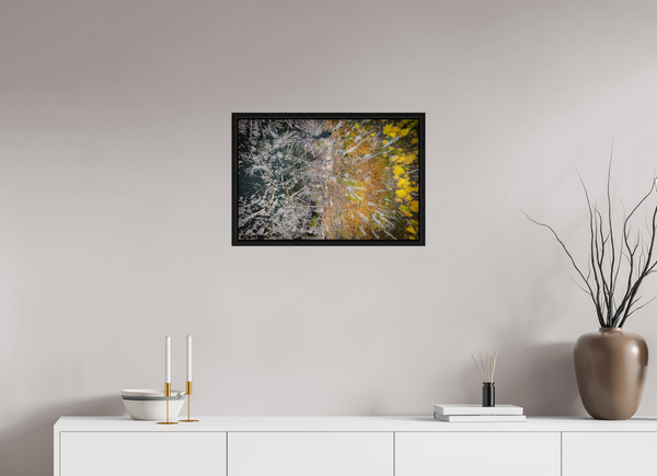 60 x 40 cm, Framed Print Edge of Renewal – Fallen and Flourishing