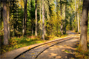 Main image Whispering Rails