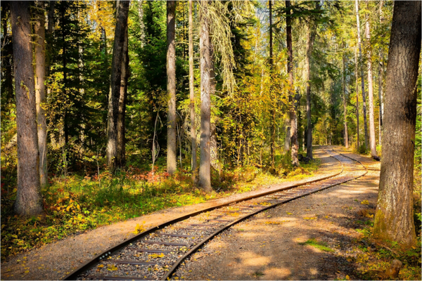 Main image Whispering Rails