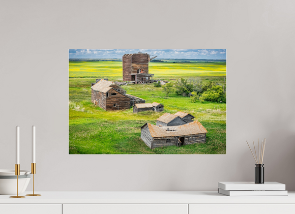 60 x 40 cm, Acrylic Print The Fallen Crown of Bents