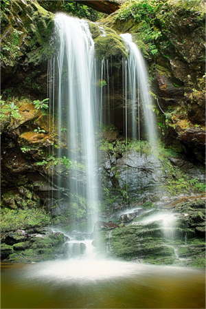 Main image Emerald Veil — Grotto Falls, Great Smoky Mountains  Long
